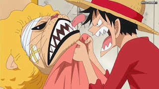 ワンピースアニメ ゾウ編 766話 ルフィ Monkey D. Luffy ペコムズ Pekoms | ONE PIECE Episode 766