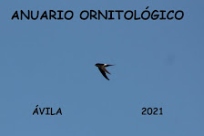 ANUARIO ORNITOLÓGICO ÁVILA 2021