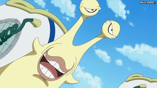 ワンピースアニメ ドレスローザ編 741話 電伝虫 | ONE PIECE Episode 741