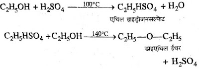 ncert 10th notes in hindi 
