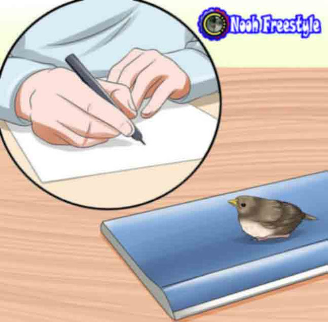 احذر وتجنب القيام بالأعمال مثل كتاب الواجب في منتصف الليل حول الطائر قد يؤدي الى وفاء المبكر