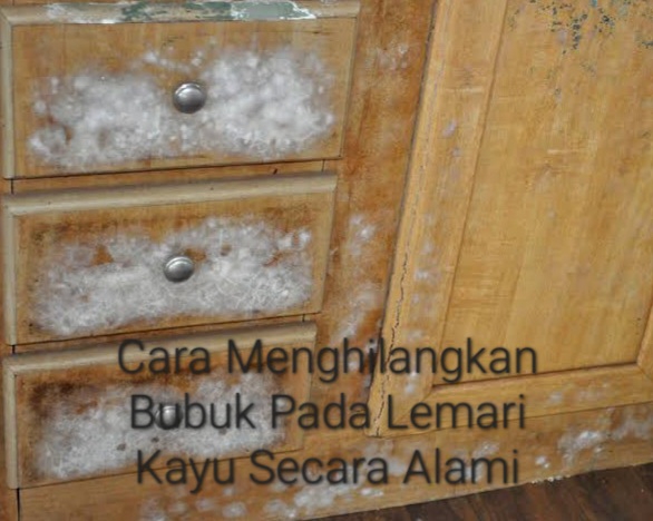 Cara Menghilangkan Bubuk pada Lemari Kayu Secara Alami