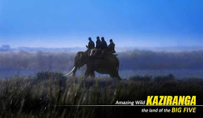 Kaziranga Elephant Safari Tour Package from Guwahati
