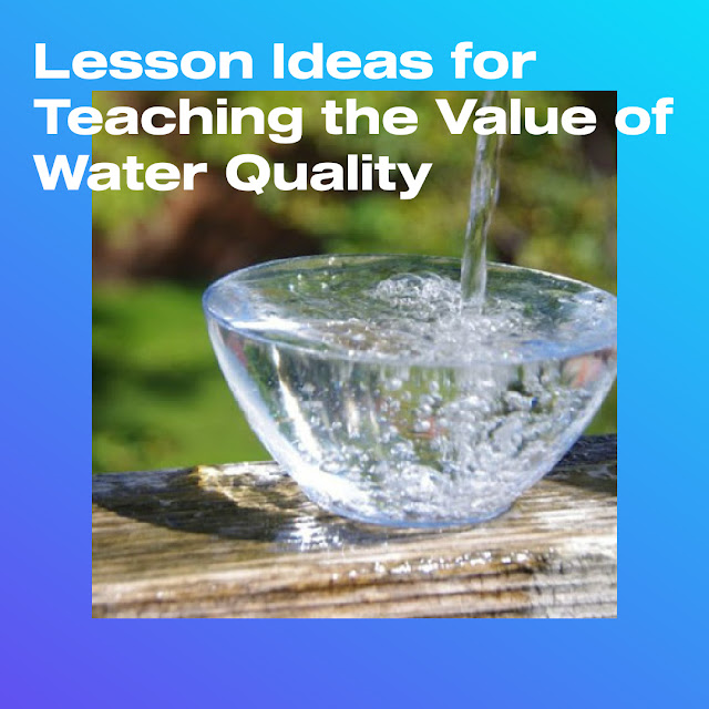 Lesson Ideas for Water Quality Month (August)
