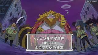 ワンピースアニメ ゾウ編 759話 ネコマムシ NEKOMAMUSHI | ONE PIECE Episode 759