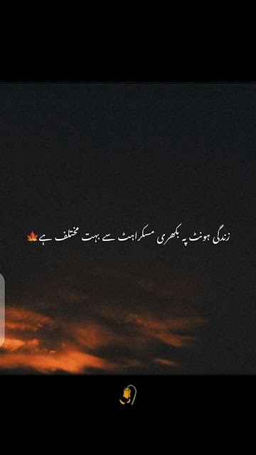 One line poetry Quotes In Urdu, One line Quotes In Urdu text, Deep one Line Quotes In Urdu, Urdu one line Quotes about life, Golden Words In Urdu one line, One line Love Poetry In Urdu, 1 line poetry In Urdu text,One Line Poetry in Urdu Attitude, One line poetry Love, One line poetry caption.