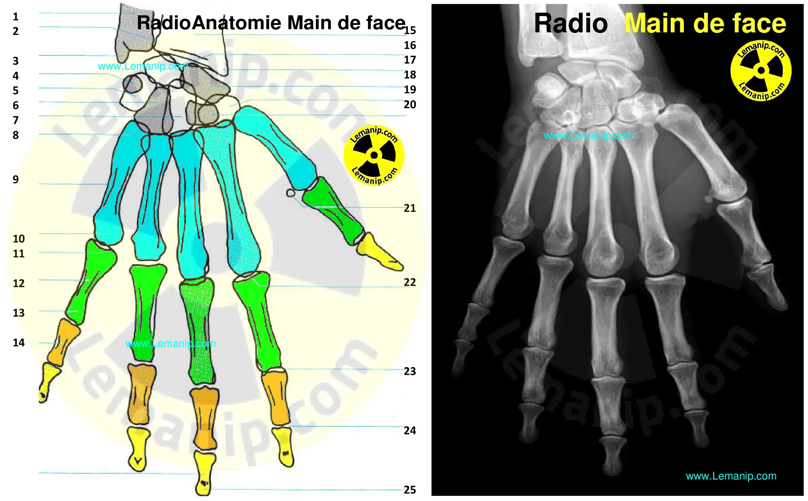 hand specialist near me,hand surgeon near me,hand doctor,hand doctor near me,water main,hand orthopedic,hand surgeon,orthopedic hand specialist near me,main man,orthopedic hand specialist