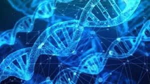 Genetic Testing