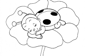 cute ladybug coloring pages