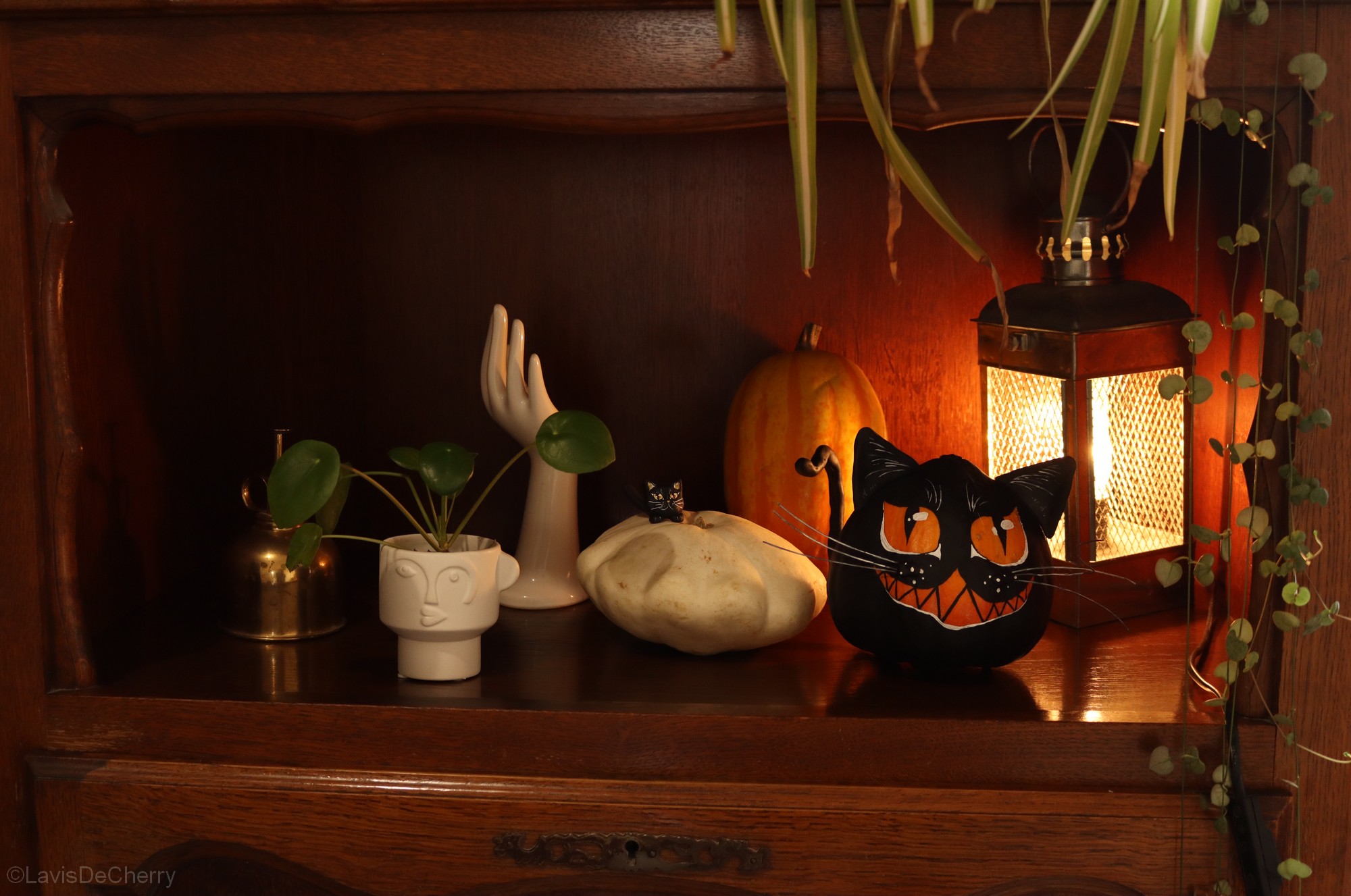 citrouille-courge-chat-halloween-deco-decoration