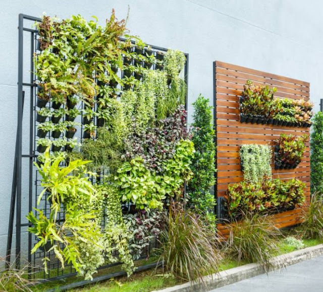 vertical garden design