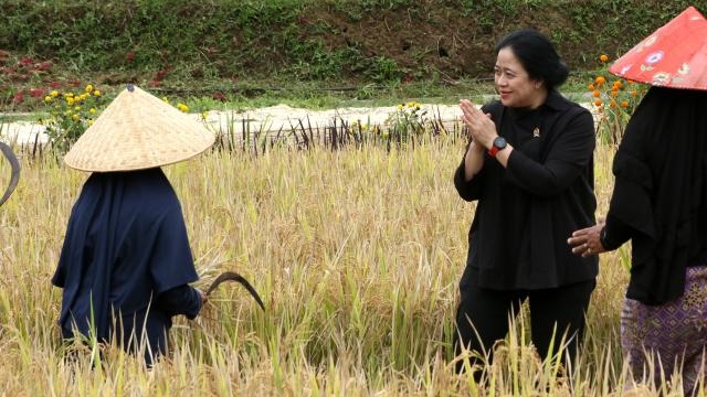 Warganet Sindir Puan: Interupsi Aja Dibungkam, Berlagak Dengar Suara Petani