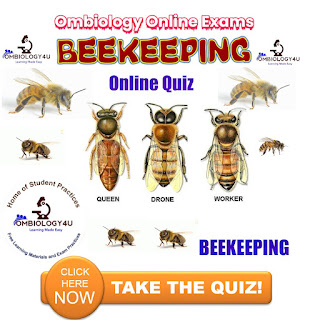 Beekeeping online exam biology, apiculture exam questions and answers for Somaliland secondary schools