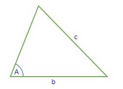 SSA Triangle