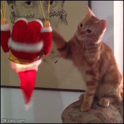 Christmas cat • Funny ginger cat playing with an amazing Santa Claus puppet [ok-cats.com]