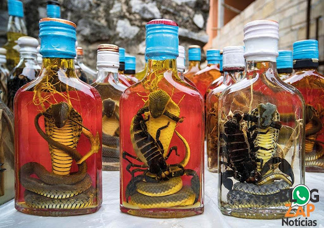 Snake Wine Sudeste Asiático