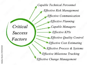 What is Critical Success Factors ?