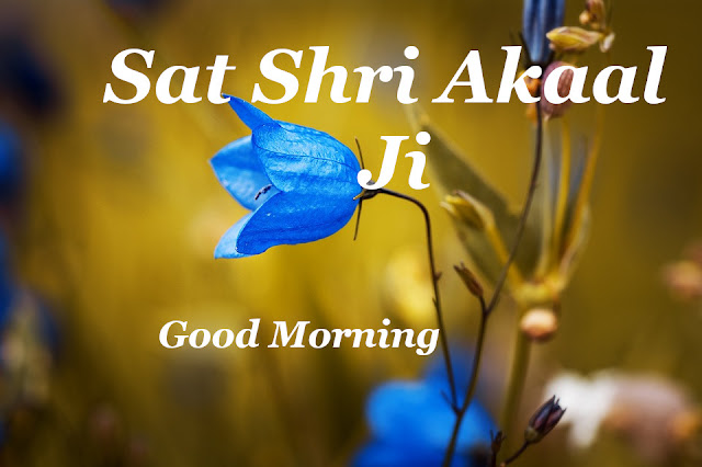 Sat Shri Akaal Ji  Good Morning