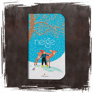 Neige, un livre pour enfant sur l'hiver de Anaïs Brunet, Editions Didier Jeunesse