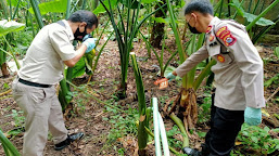 Temuan Kerangka Manusia di Cuburuy Sudah Teridentifikasi