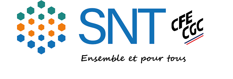 SNT CFE-CGC : Syndicat National des Territoriaux - A, B, C - Ensemble et pour tous ! FPT, OPH, PM
