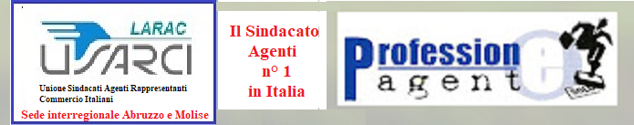 Professione Agente