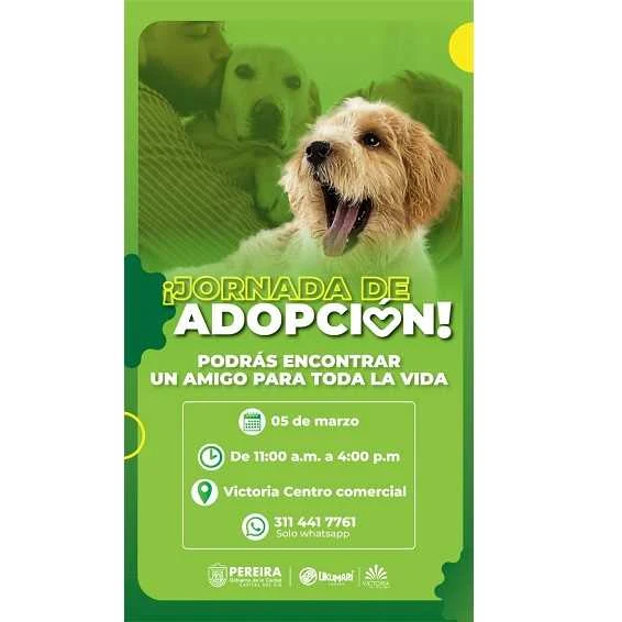 Ukumarí promueve la adopción responsable de perros y gatos