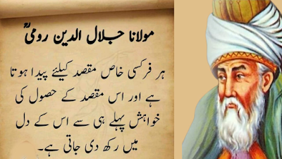 Maulana Rumi Quotes In Urdu