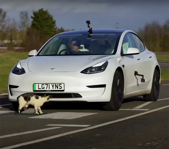 Carro Tesla e Volvo Atropelam Animais dummies durante Teste - img 1