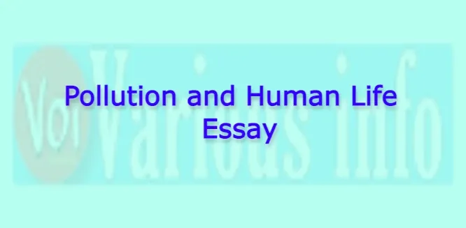 Pollution and Human Life Essay for students in English