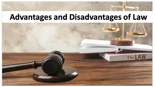 Advantages and Disadvantages of Law | English Jurisprudence