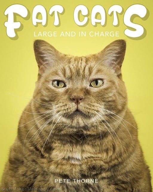 Peter Thorne and His Photo Project "Fat Cats"