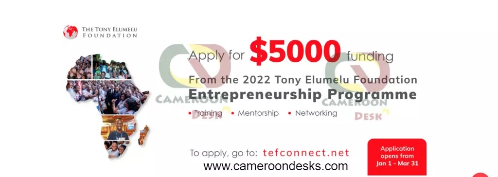 2400 bourses pour le programme d'entrepreneuriat de la Fondation Tony Elumelu TEEP 2022 pour les jeunes entrepreneurs africains