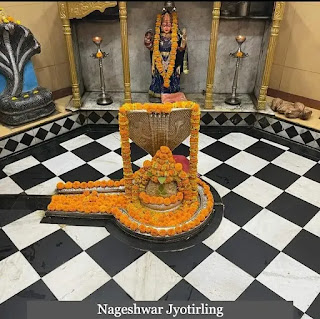 Nageshwar Jyotirlinga - The mere sight of these leads to the end of sins