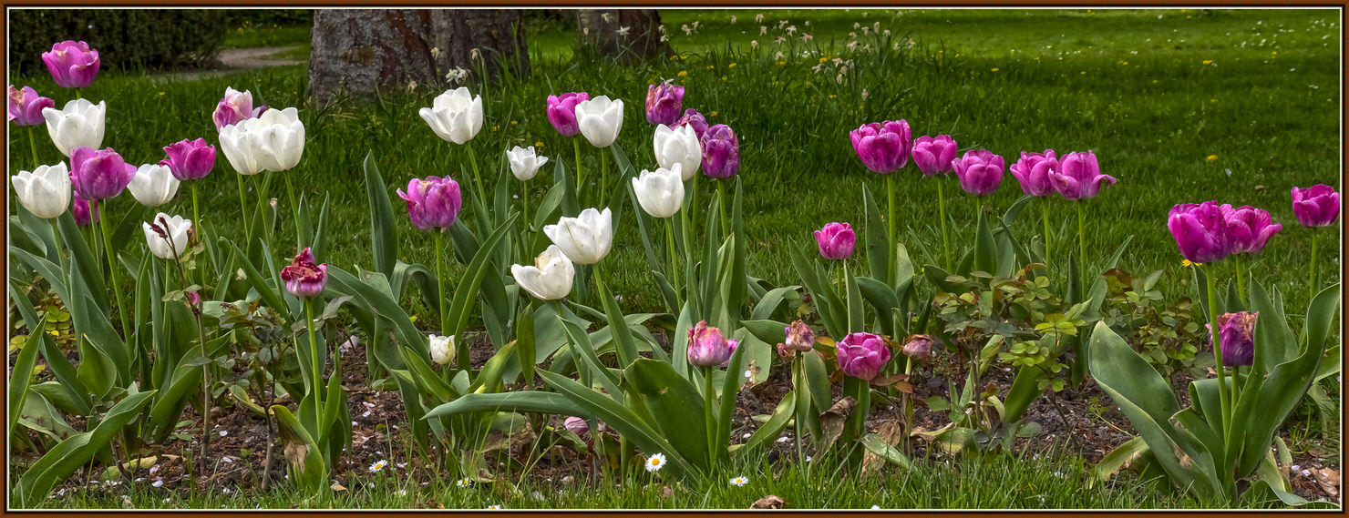                                                   Natur -Berlin