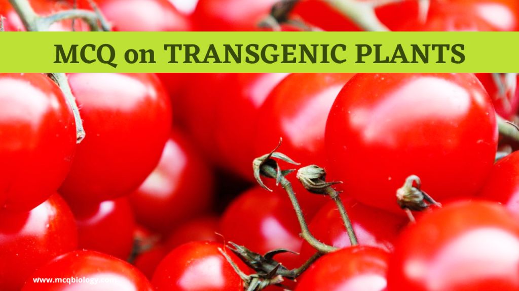 MCQ on Transgenic Plants  | Applications of Biotechnology MCQ