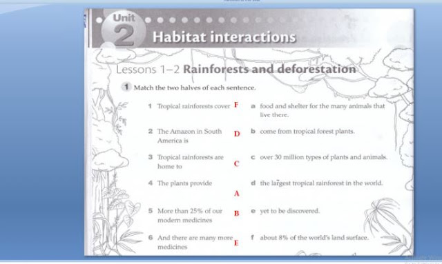 حل كتاب workbook للصف التاسع الفصل الأول