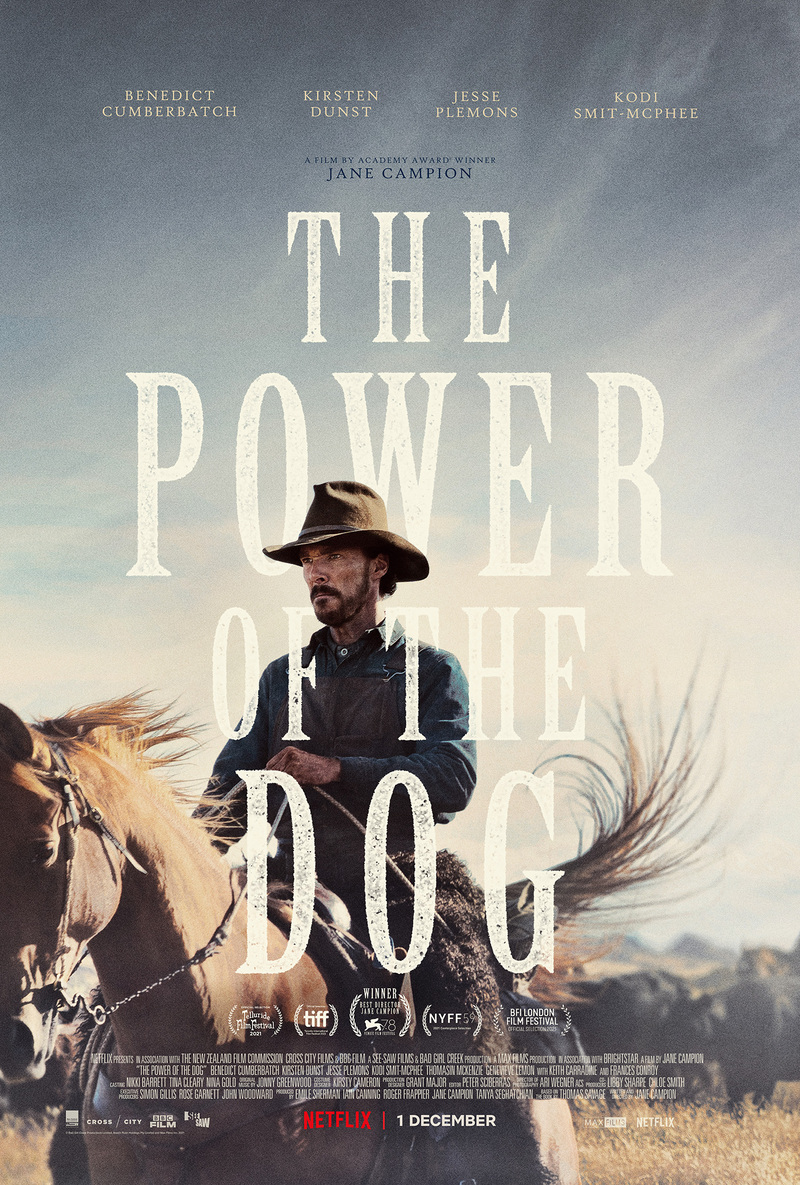 the power of the dog poster