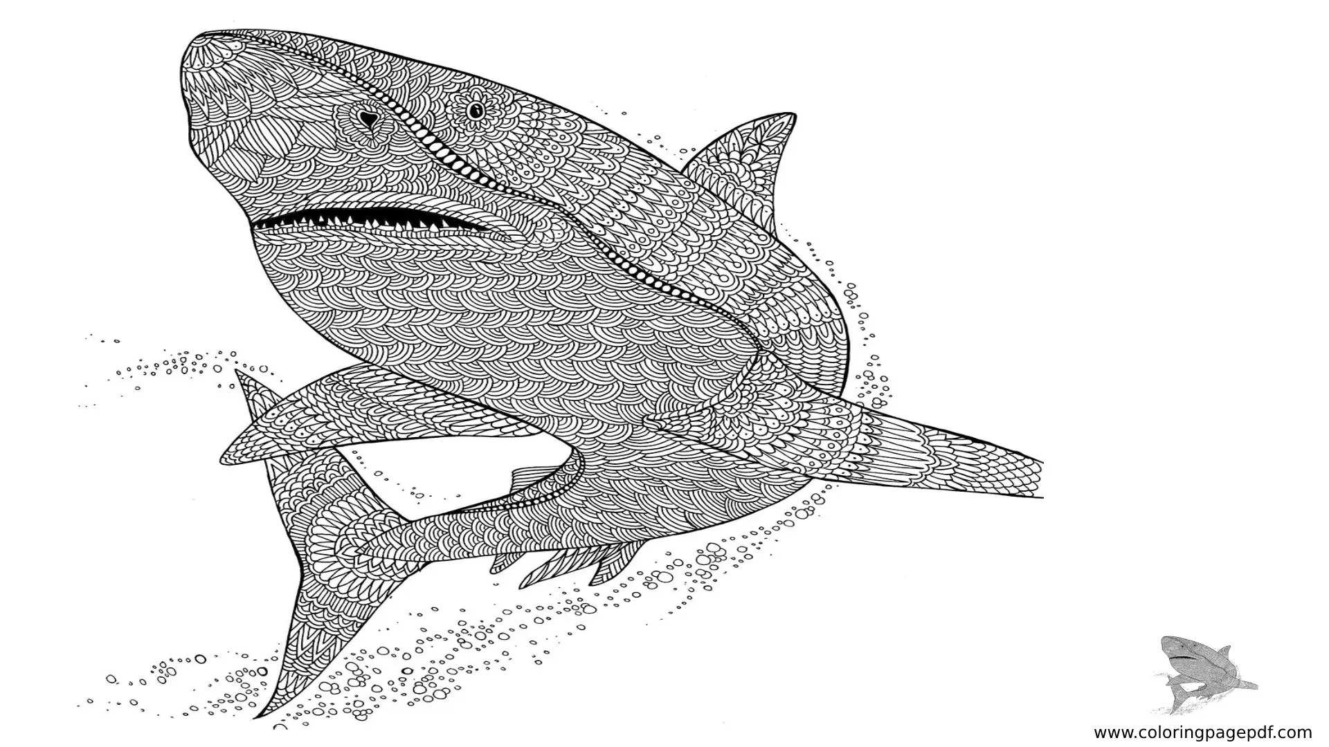 Coloring Pages Of Big Shark Mandala