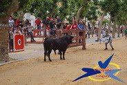 Feira de Maio da Moita - Largada de Sábado