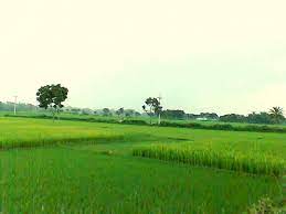 “চাঁপাইনবাবগঞ্জ” রূপের স্নিগ্ধতায় বৈচিত্রময় এক জনপদ