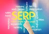 Google SERP traits for electronic commerce SEO
