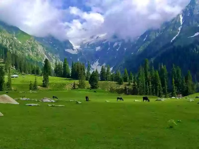 Kumrat Valley (Swat) Upper Dir KPK, Pakistan | Camping, Chair Lift