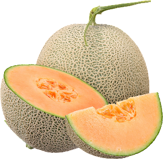 Musk Melon Transparent Image