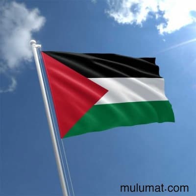 علم فلسطين يرفرف داخل جامعة تل أبيب