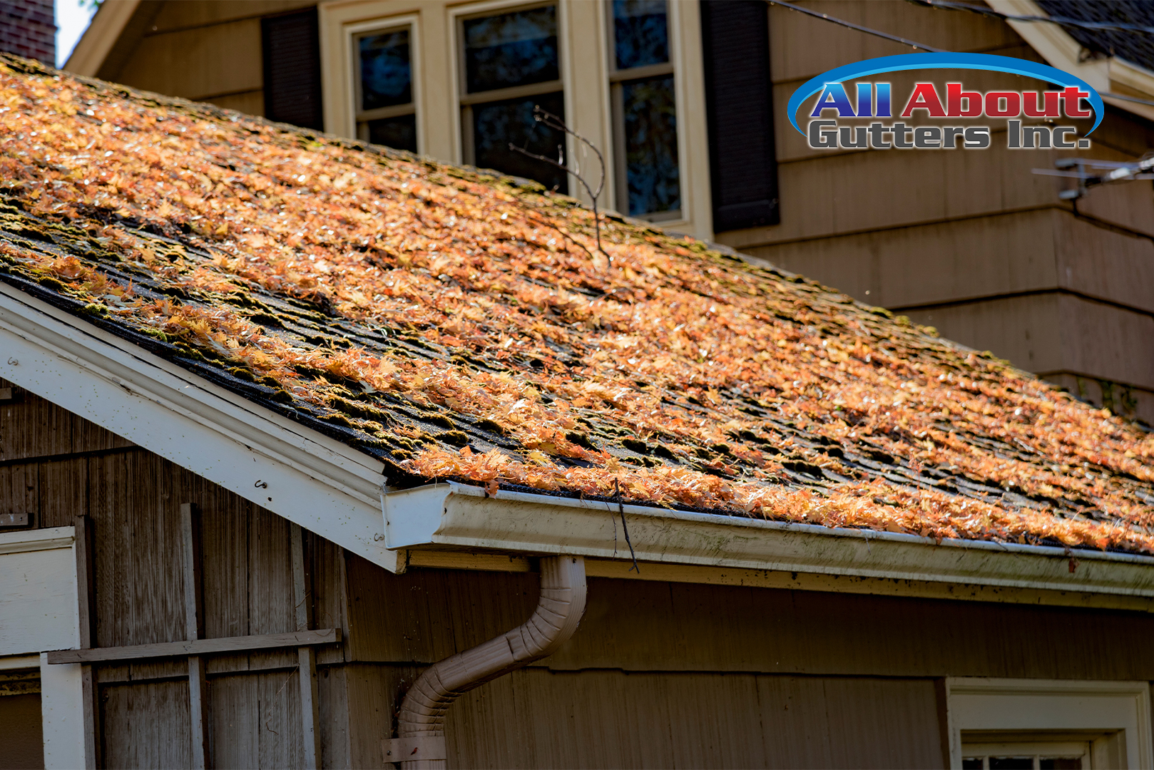 What Problems Can Arise If The Gutters Are Not Maintained