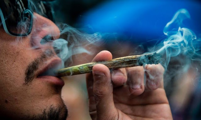 Estudo Científico mostra que o uso de maconha impede o contágio pela COVID-19