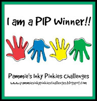 PIP Challenge Blog