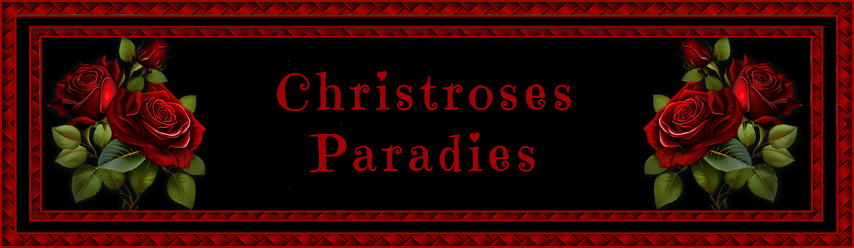  Christroses-Paradies 