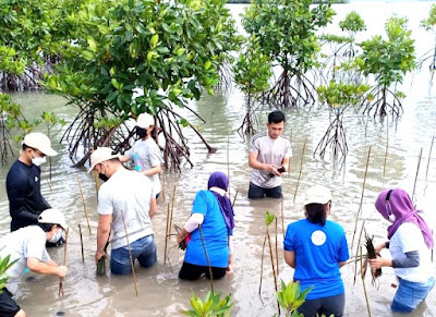 BP Batam dan PT TDK Tanam Seribu Mangrove di Waduk Tembesi